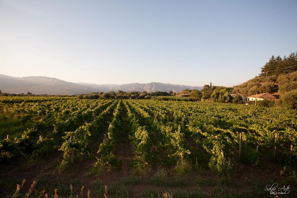 L'Antica Vigna Villa Randazzo Dış mekan fotoğraf